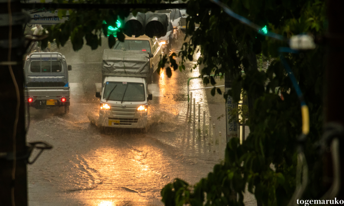 日本はなぜ雨が多いの